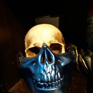 Meet your Posher, Roy